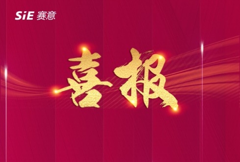 实力凸显！赛意信息入选中国科学院《互联网周刊》2个权威榜单